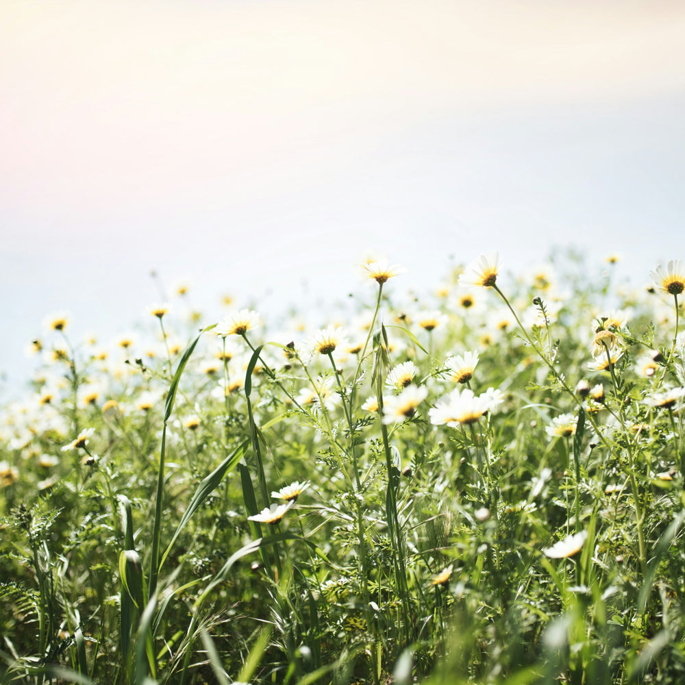 Melbourne Hair & Body Co