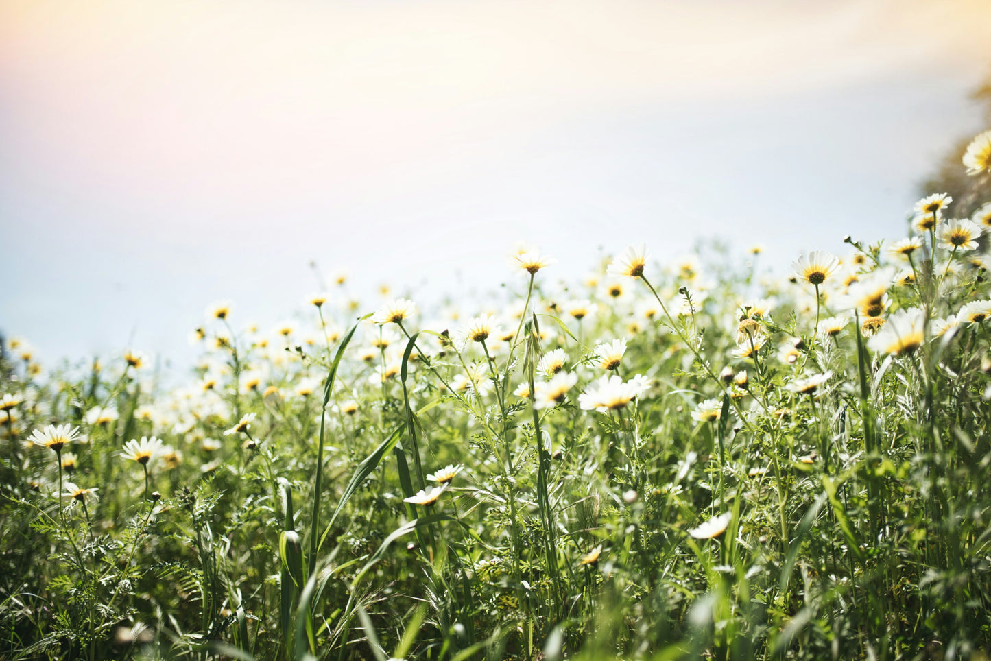 Melbourne Hair & Body Co